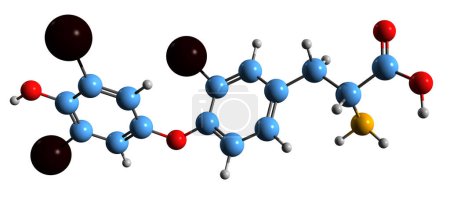 Photo for 3D image of Reverse triiodothyronine skeletal formula - molecular chemical structure of  isomer of triiodothyronine isolated on white background - Royalty Free Image