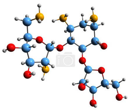 Foto de Imagen 3D de la fórmula esquelética de ribostamicina: estructura química molecular del antibiótico aminoglucósido-aminociclíclico aislado sobre fondo blanco - Imagen libre de derechos