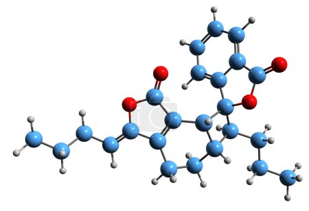 Téléchargez les photos : Image 3D de la formule squelettique de Riligustilide - structure chimique moléculaire du phytoprogestatif non stéroïdien isolé sur fond blanc - en image libre de droit