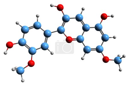 Foto de Imagen 3D de la fórmula esquelética de Rosinidin - estructura química molecular de antocianidina O-metilada aislada sobre fondo blanco - Imagen libre de derechos