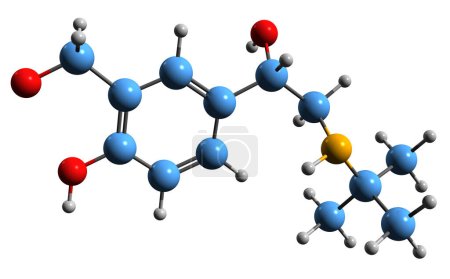 Photo for 3D image of Salbutamol skeletal formula - molecular chemical structure of bronchodilator medication isolated on white background - Royalty Free Image