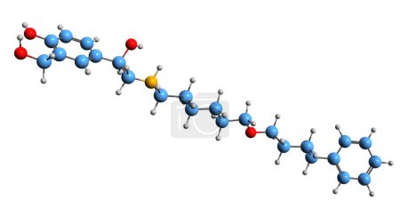 Foto de Imagen 3D de la fórmula esquelética de Salmeterol: estructura química molecular del agonista del receptor adrenérgico beta2 aislado sobre fondo blanco - Imagen libre de derechos