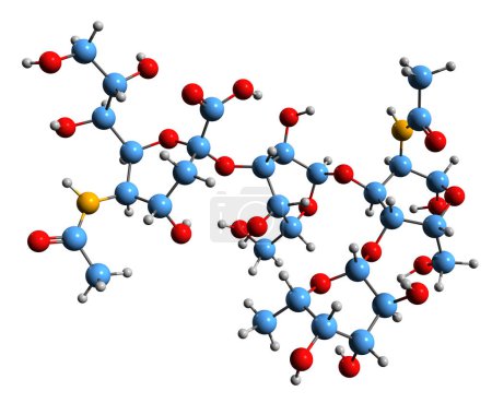 Foto de Imagen 3D de sialyl-LewisA Fórmula esquelética de antígeno de carbohidratos: estructura química molecular del marcador tumoral sérico aislado sobre fondo blanco - Imagen libre de derechos