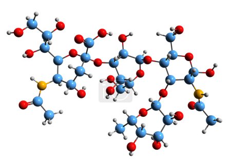 Foto de Imagen 3D de la fórmula esquelética de Sialyl Lewis X: estructura química molecular del antígeno embrionario 1 específico del estadio aislado sobre fondo blanco - Imagen libre de derechos