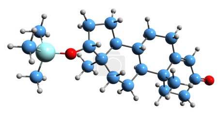 Téléchargez les photos : Image 3D de la formule squelettique Silandrone - structure chimique moléculaire de l "éther O-triméthylsilyle de testostérone isolé sur fond blanc - en image libre de droit