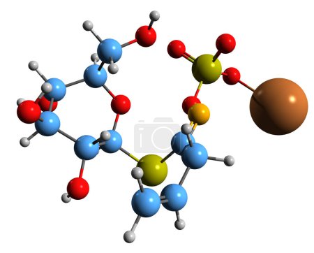 Téléchargez les photos : Image 3D de la formule squelettique Sinigrin - structure chimique moléculaire du glucosinolate isolé sur fond blanc - en image libre de droit