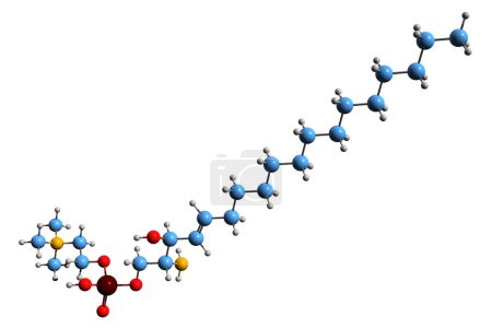 Foto de Imagen 3D de la fórmula esquelética de esfingosilfosforilcolina - estructura química molecular del RCP aislado sobre fondo blanco - Imagen libre de derechos