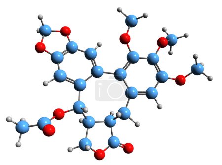 Photo for 3D image of Steganacin skeletal formula - molecular chemical structure of  dibenzocyclooctadiene lactone isolated on white background - Royalty Free Image