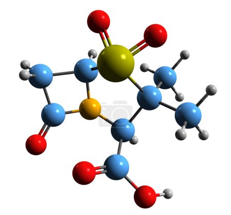 Foto de Imagen 3D de la fórmula esquelética de Sulbactam: estructura química molecular del inhibidor de la beta-lactamasa aislado sobre fondo blanco - Imagen libre de derechos