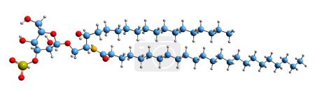 Foto de Imagen 3D de la fórmula esquelética de Sulfatide - estructura química molecular de la 3-O-sulfogalactosilceramida aislada sobre fondo blanco - Imagen libre de derechos