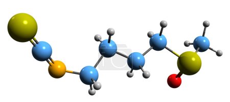 Imagen 3D de la fórmula esquelética de Sulforaphane - estructura química molecular del compuesto organosulfuro aislado sobre fondo blanco