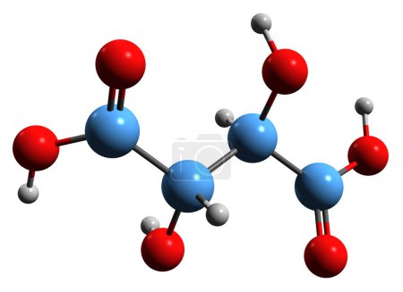 Photo for 3D image of Tartaric acid skeletal formula - molecular chemical structure of Uvic acid E334 isolated on white background - Royalty Free Image