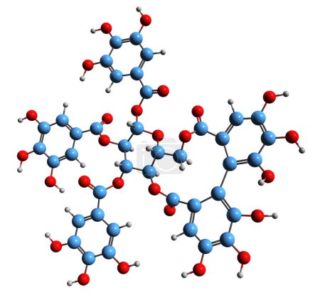 Téléchargez les photos : Image 3D de la formule squelettique Tellimagrandin II - structure chimique moléculaire de l'ellagitannine isolée sur fond blanc - en image libre de droit