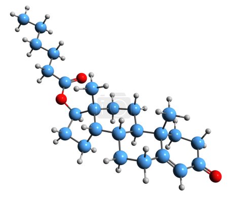 Foto de Imagen 3D de la fórmula esquelética del caproato de la testosterona estructura química molecular del andrógeno y del esteroide anabólico aislados en el fondo blanco - Imagen libre de derechos