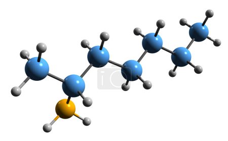 Photo for 3D image of Tuaminoheptane skeletal formula - molecular chemical structure of sympathomimetic agent  2-aminoheptane isolated on white background - Royalty Free Image