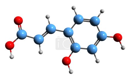 Foto de Imagen 3D de la fórmula esquelética del ácido umbelico - estructura química molecular del ácido dihidroxicinámico aislado sobre fondo blanco - Imagen libre de derechos