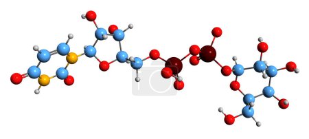 Photo for 3D image of Uridine diphosphate galactose skeletal formula - molecular chemical structure of UDP-galactose isolated on white background - Royalty Free Image
