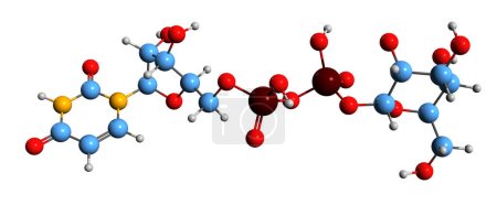 Photo for 3D image of Uridine diphosphate glucose skeletal formula - molecular chemical structure of UDP-glucose isolated on white background - Royalty Free Image