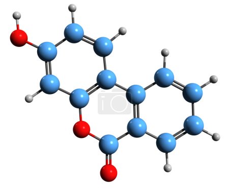 Téléchargez les photos : Image 3D de la formule squelettique Urolithin B - structure chimique moléculaire du composé phénolique de l'intestin humain isolé sur fond blanc - en image libre de droit