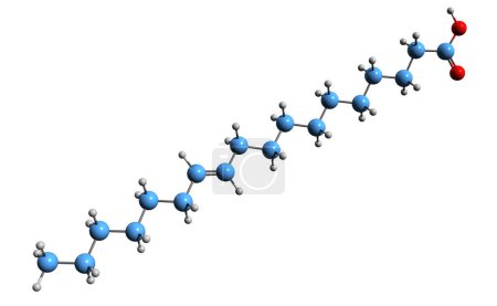 Téléchargez les photos : Image 3D de la formule squelettique de l'acide vaccinique - structure chimique moléculaire des acides gras trans isolés sur fond blanc - en image libre de droit