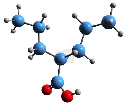 Foto de Imagen 3D de la fórmula esquelética de Valproate: estructura química molecular de la epilepsia y la medicación del trastorno bipolar AVA aislado sobre fondo blanco - Imagen libre de derechos