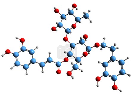 Foto de Imagen 3D de la fórmula esquelética de Verbascoside - estructura química molecular del glucósido feniletanoide cafeoílo aislado sobre fondo blanco - Imagen libre de derechos