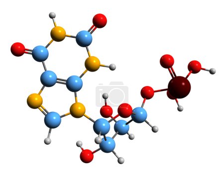 Foto de Imagen 3D de la fórmula esquelética monofosfato de Xanthosine - estructura química molecular de intermediario en el metabolismo de la purina aislado sobre fondo blanco - Imagen libre de derechos