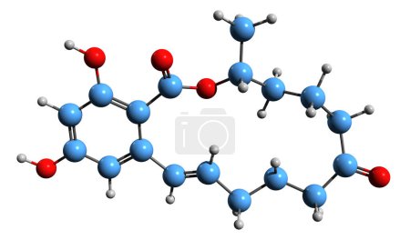 Photo for 3D image of zearalenol skeletal formula - molecular chemical structure of  nonsteroidal estrogen isolated on white background - Royalty Free Image
