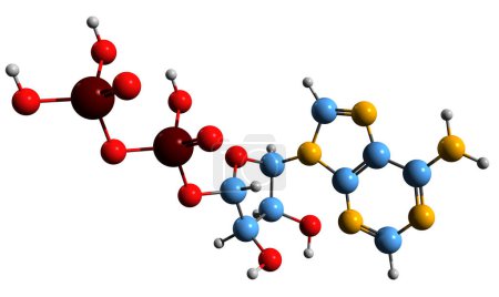 Foto de Imagen 3D de la fórmula esquelética de difosfato de adenosina: estructura química molecular del ADP intermedio de energía aislado sobre fondo blanco - Imagen libre de derechos