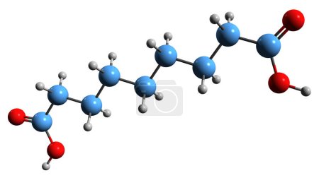 Téléchargez les photos : Image 3D de la formule squelettique de l'acide azélaïque - structure chimique moléculaire de l'acide nonanedioïque isolé sur fond blanc - en image libre de droit