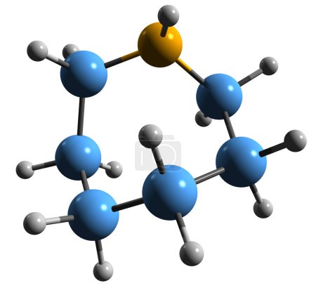 Téléchargez les photos : Image 3D de la formule squelettique Azepane - structure chimique moléculaire de l'hexaméthylèneimine isolée sur fond blanc - en image libre de droit