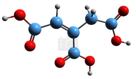 Foto de Imagen 3D de la fórmula esquelética del ácido acónítico - estructura química molecular del ácido aquileico aislado sobre fondo blanco - Imagen libre de derechos