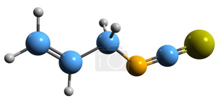 Téléchargez les photos : Image 3D de la formule squelettique de l'isothiocyanate d'allyle - structure chimique moléculaire du composé organosulfuré isolé sur fond blanc - en image libre de droit