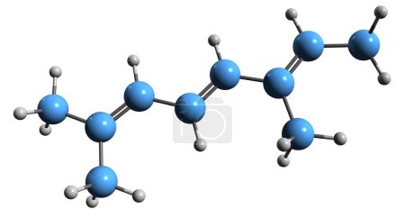 Foto de Imagen 3D de la fórmula esquelética de aloocimeno - estructura química molecular del monoterpeno acíclico sintético aislado sobre fondo blanco - Imagen libre de derechos