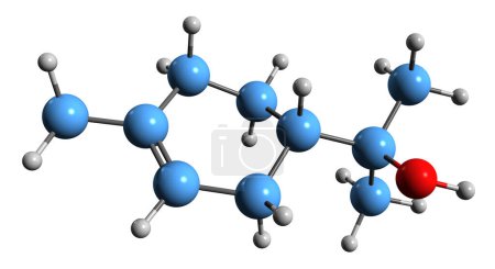 Téléchargez les photos : Image 3D de la formule squelettique alpha-terpinéol - structure chimique moléculaire du monoterpénoïde isolé sur fond blanc - en image libre de droit