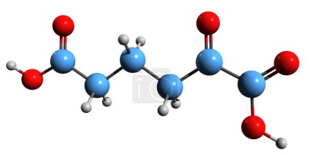 Téléchargez les photos : Image 3D de la formule squelettique de l'acide alpha-cétoadipique - structure chimique moléculaire du 2-oxoadipate isolé sur fond blanc - en image libre de droit