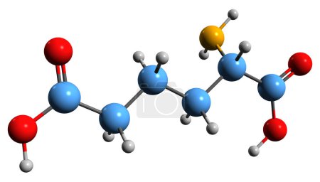 Photo for 3D image of a-Aminoadipic acid skeletal formula - molecular chemical structure of metabolite isolated on white background - Royalty Free Image