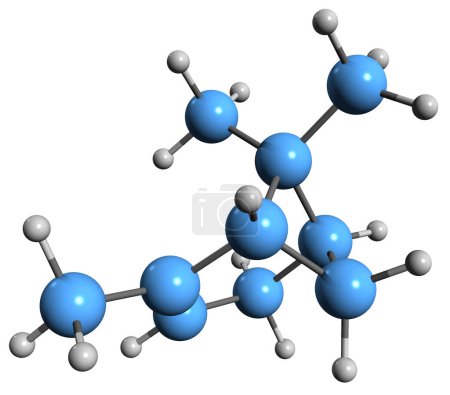 Foto de Imagen 3D de la fórmula esquelética alfa-pineno - estructura química molecular del compuesto de aceite esencial de romero aislado sobre fondo blanco - Imagen libre de derechos