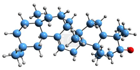 Foto de Imagen 3D de la fórmula esquelética de amirina - estructura química molecular del triterpenol pentacíclico aislado sobre fondo blanco - Imagen libre de derechos