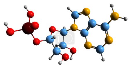 Foto de Imagen 3D de la fórmula esquelética de monofosfato de adenosina: estructura química molecular de AMP aislada sobre fondo blanco - Imagen libre de derechos
