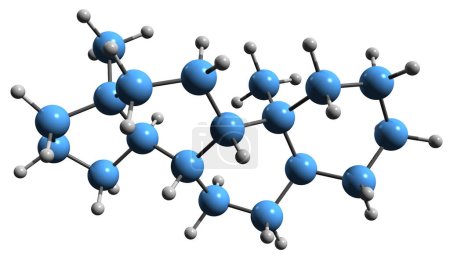 Photo for 3D image of Androstane skeletal formula - molecular chemical structure of  steroidal hydrocarbon isolated on white background - Royalty Free Image