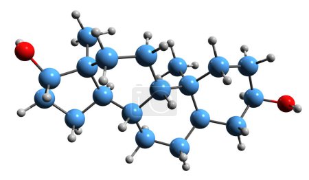 Téléchargez les photos : Image 3D de la formule squelettique d'Androstanediol - structure chimique moléculaire de l'hormone stéroïde endogène isolée sur fond blanc - en image libre de droit