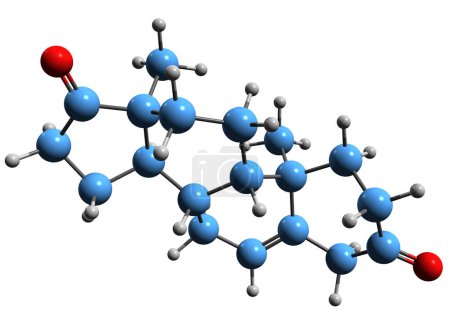 Téléchargez les photos : Image 3D de la formule squelettique Androstenedione - structure chimique moléculaire de 17-Ketotestosterone isolé sur fond blanc - en image libre de droit