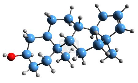 Téléchargez les photos : Image 3D de la formule squelettique Androstenol structure chimique moléculaire de phéromone stéroïdienne et neurostéroïde isolé sur fond blanc - en image libre de droit