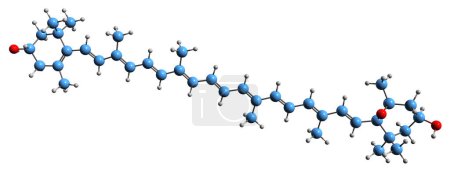 Foto de Imagen 3D de la fórmula esquelética de la anteroxantina - estructura química molecular del ciclo xantofila intermedio aislado sobre fondo blanco - Imagen libre de derechos