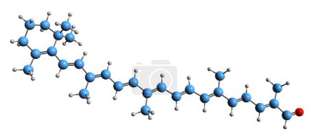 Foto de Imagen 3D de la fórmula esquelética apocarotenal - estructura química molecular del carotenoide aislado sobre fondo blanco - Imagen libre de derechos