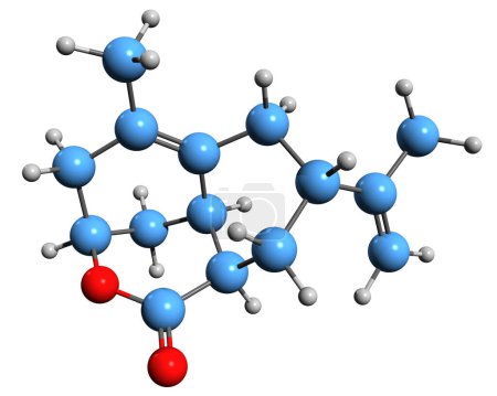 Téléchargez les photos : Image 3D de la formule squelettique d'Aristolactone - structure chimique moléculaire du Sesquiterpénoïde néphrotoxique isolé sur fond blanc - en image libre de droit