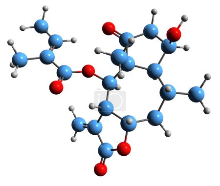 Foto de Imagen 3D de la fórmula esquelética de Arnifolin - estructura química molecular de Arnica angustifolia fitoquímico aislado sobre fondo blanco - Imagen libre de derechos