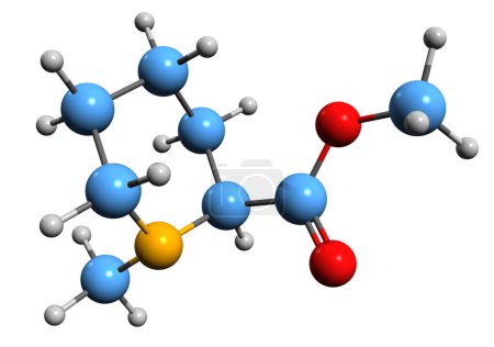 Téléchargez les photos : Image 3D de la formule squelettique d'Arecoline - structure chimique moléculaire de l'alcaloïde stimulant parasympathomimétique isolé sur fond blanc - en image libre de droit