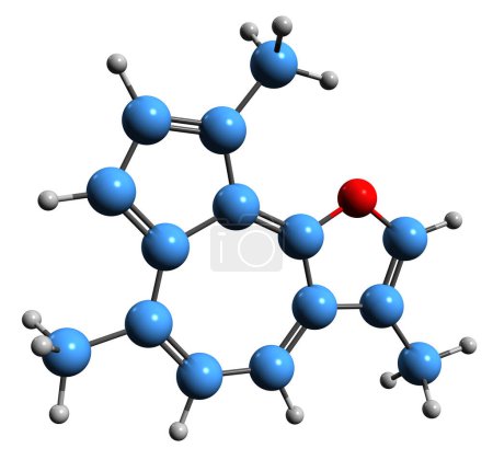 Téléchargez les photos : Image 3D de la formule squelettique de l'artémazulen - structure chimique moléculaire de l'artémisia absinthium phytochimique isolé sur fond blanc - en image libre de droit